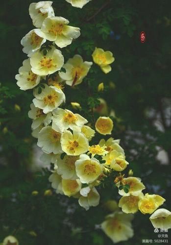 艺术春来了门票价格_艺术春来了值得去吗