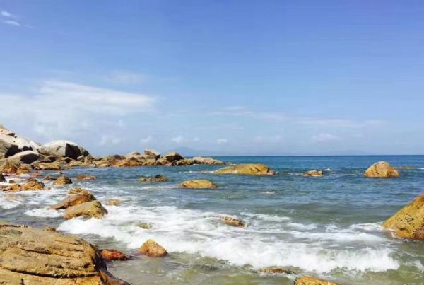 生活全靠浪是什么意思_如何活出浪系人生