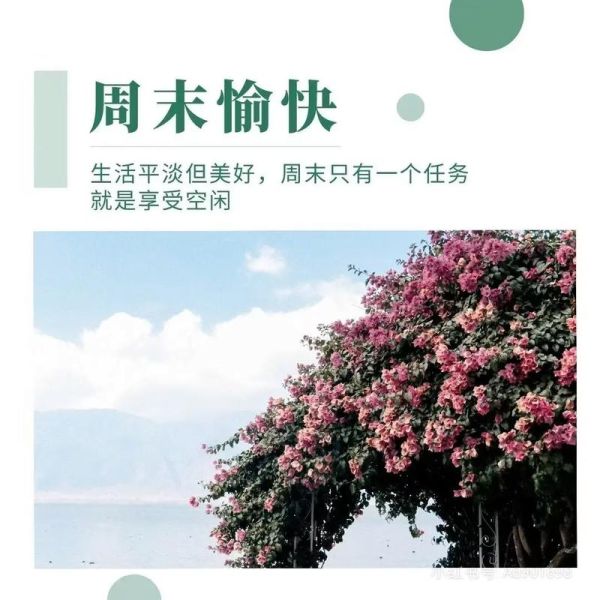 为生活停驻_如何慢下来