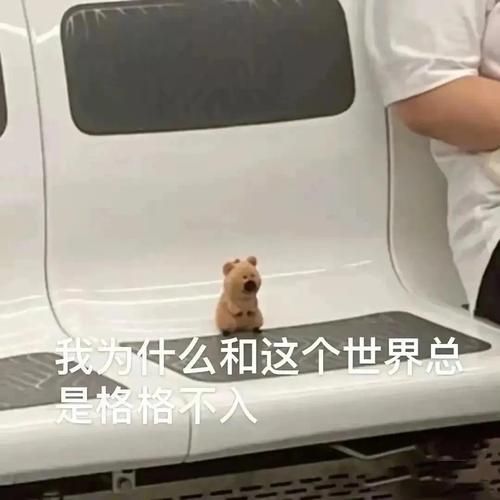 为什么我总感觉格格不入_如何与生活和解